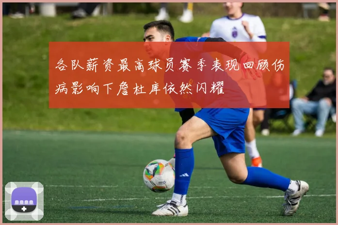 各队薪资最高球员赛季表现回顾伤病影响下詹杜库依然闪耀